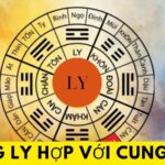 Cung Ly hợp với cung nào?