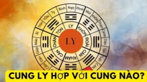 Cung Ly Hợp Với Cung Nào?